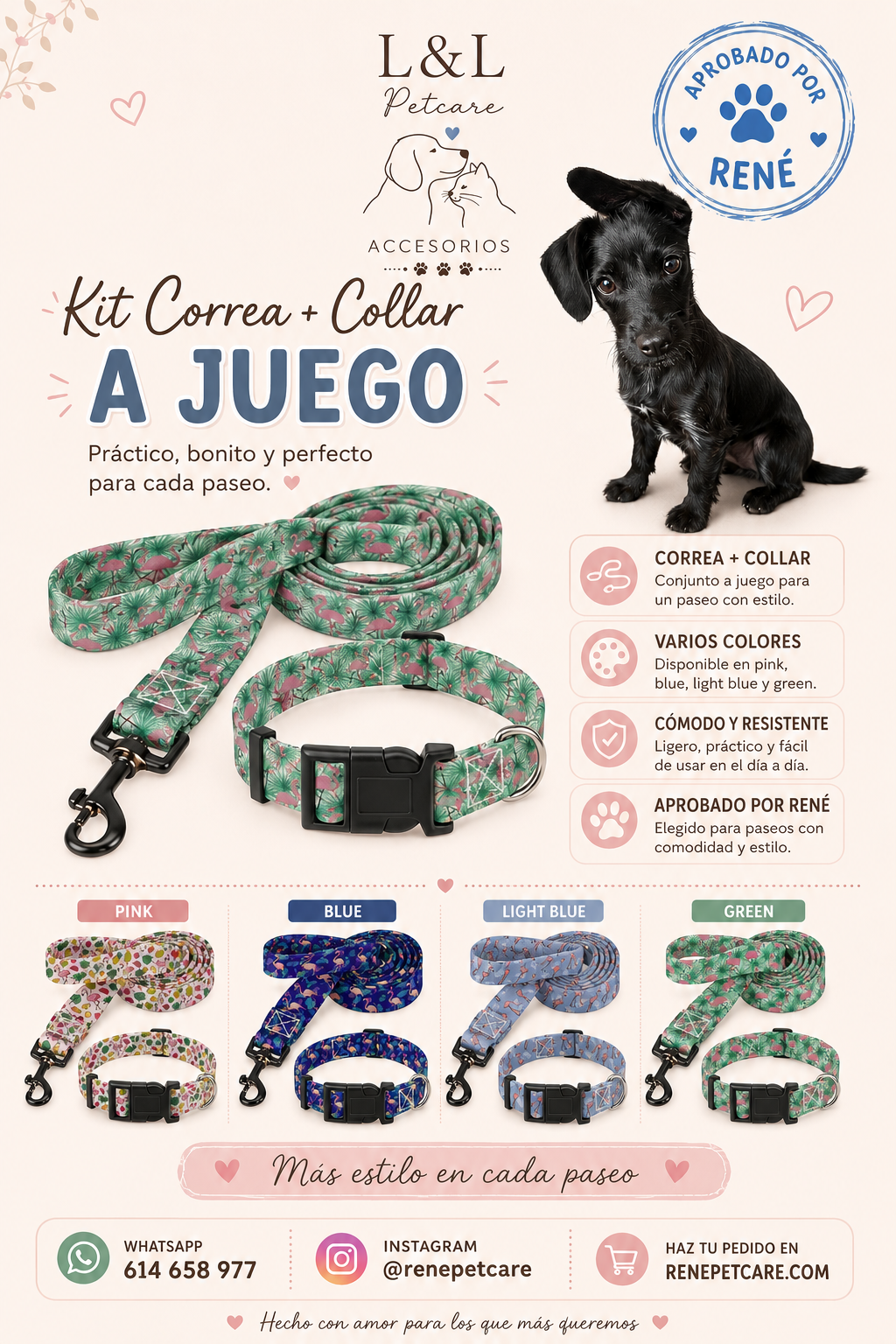 Kit Correa + Collar a Juego para Perros