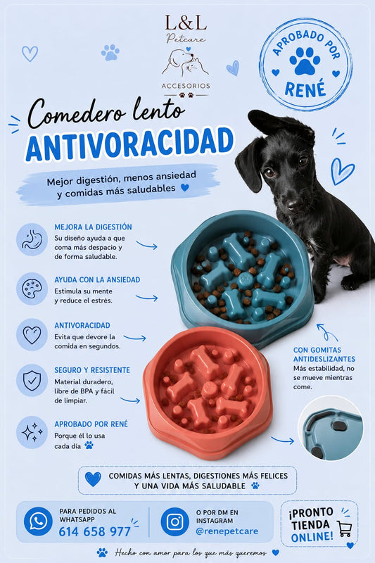 Comedero Lento Antivoracidad para Perros