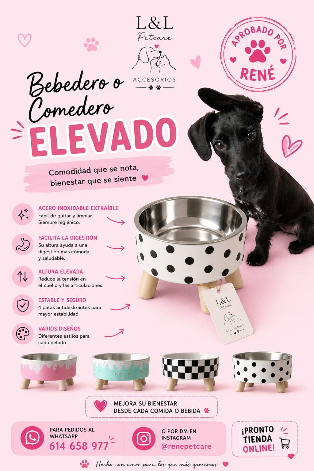 Bebedero Elevado para Perros