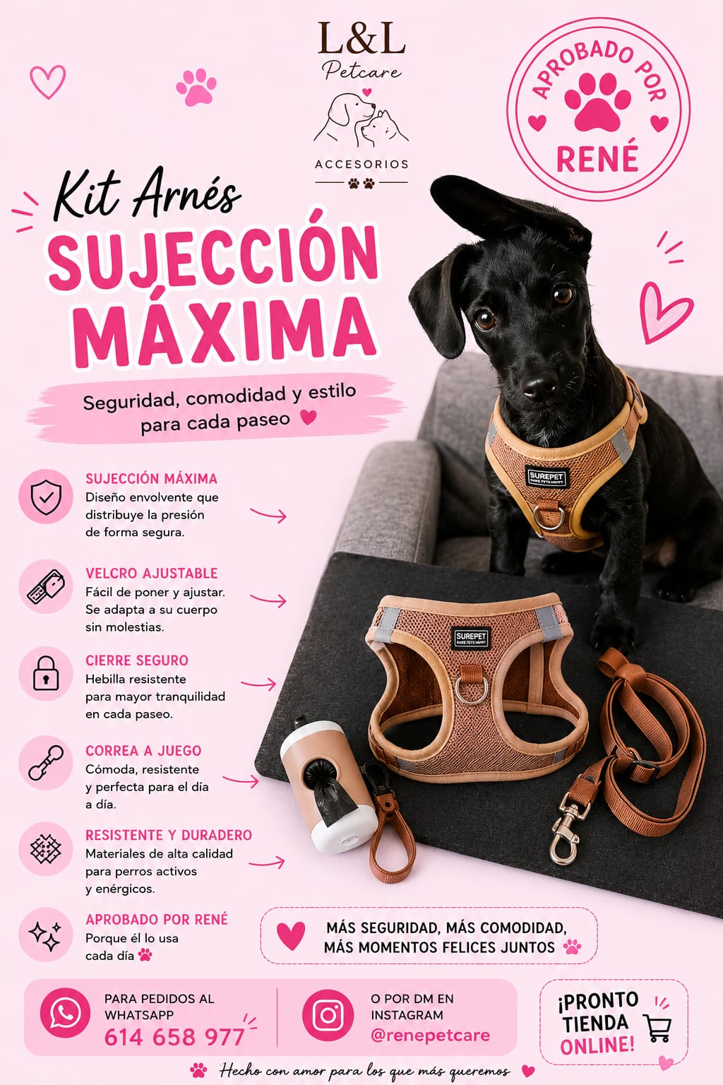 Kit Arnés y Correa para Perros